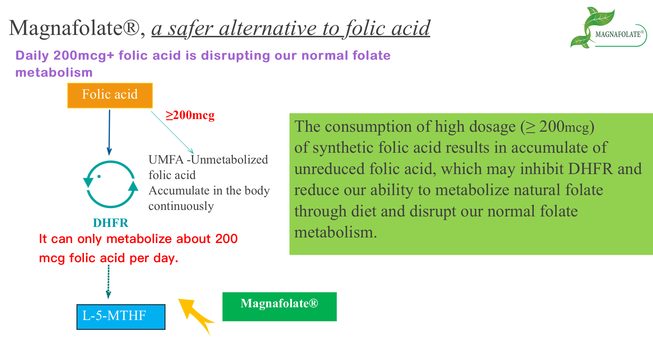 Magnafolate, A Tutius Alternative ad Folic Acid