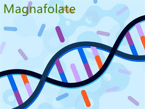 L-5-Methylfolate | Auxilium populus cum MTHFR gene mutationis