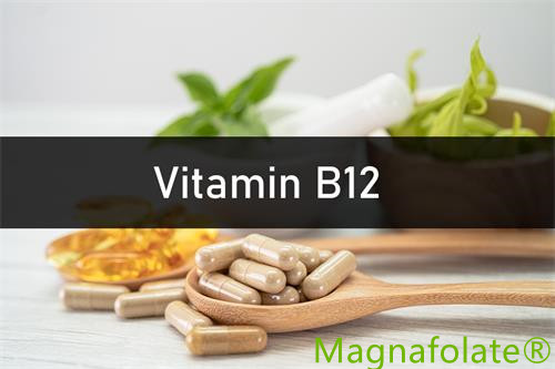 Vitaminum B12：Introductio, Beneficium, Salutem