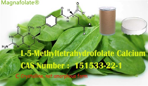Suntne L-5-Methyltetrahydrofolati et acidi folici idem?