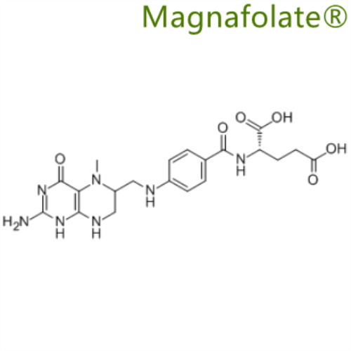 V, MTHF： significatione et alii