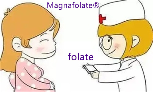 Quomodo folatium ius accipimus?