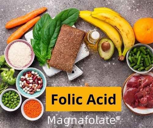 Folate (Folic acid) -Introduction et munus