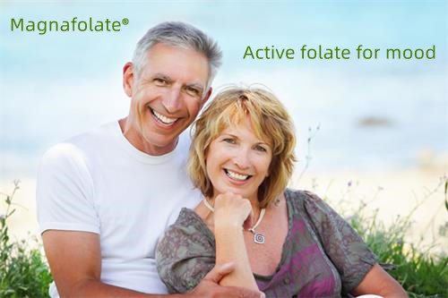 Activum folate in mente