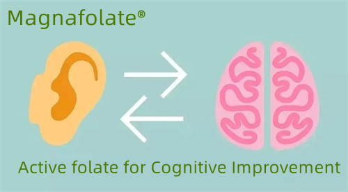 Active folate ad Cognitiva Emendationem