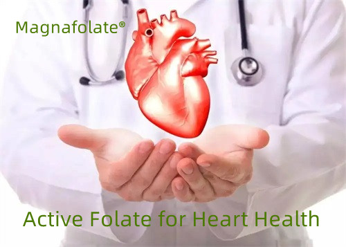 Active Folate ad Cordis Salutem