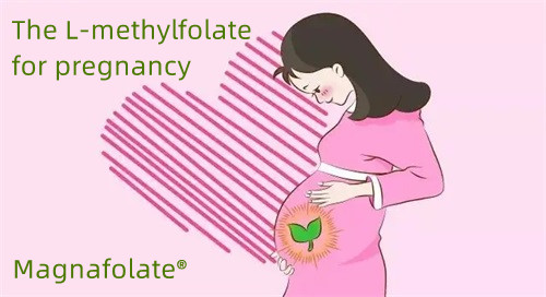 Dominus methylfolate ad graviditatem populi