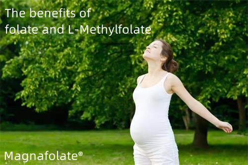Beneficia folatium et L-Methylfolatorum