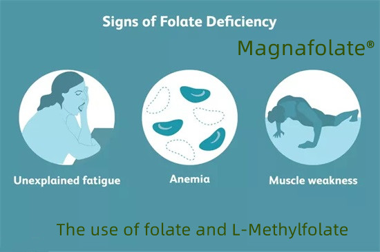Usus folatium et L-Methylfolatum