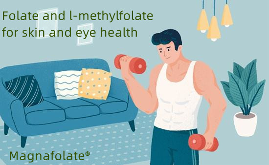 Folata et l-methylfolata ad cutem et oculum sanitatis