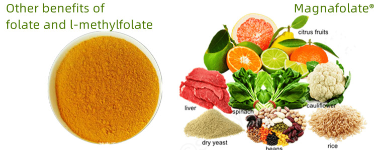 Alia beneficia folatium et L-Methylfolatorum
