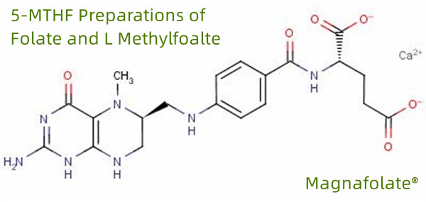 5-MTHF Praeparationes folatium et L Methylfoalte