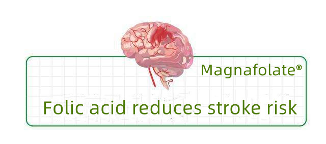 Acidum folicum periculum ictum reducit