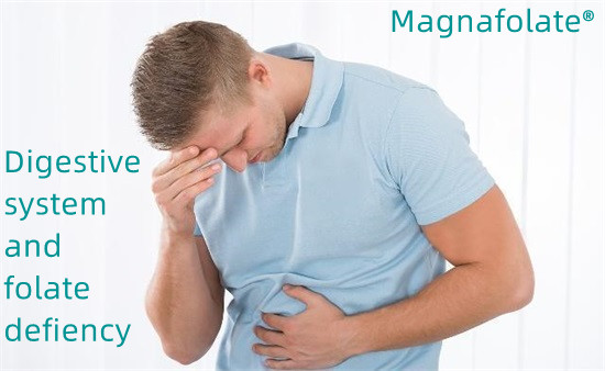 Systema digestivum et folatium defectus-Magnafolatus