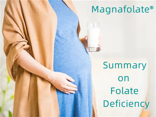 Defectus in Folate Summarium