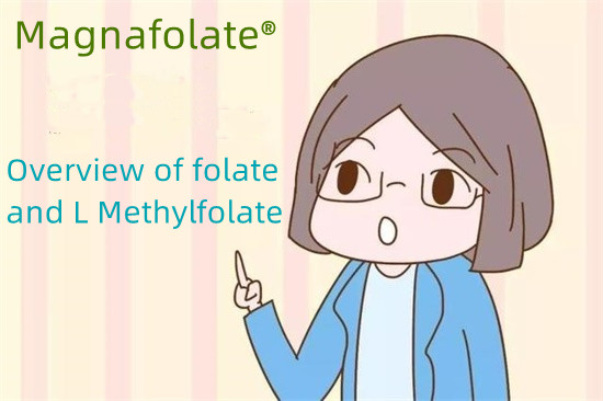 Overview folatium et L Methylfolatum
