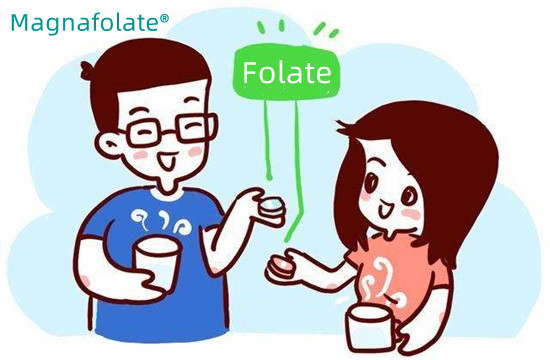 Quantum folatium mihi opus est?