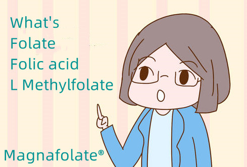Quid est acidum folatum et folicum L methylfolatum?