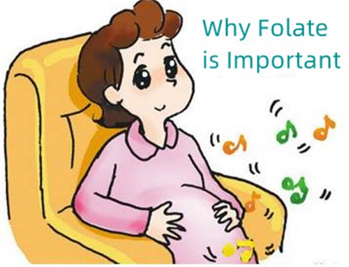 Cur Folate Maximus?