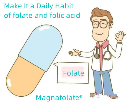 Folic Acidum et Folate: Fac quotidianum Consuetudo