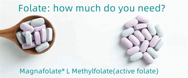 Folate: quantum debes?