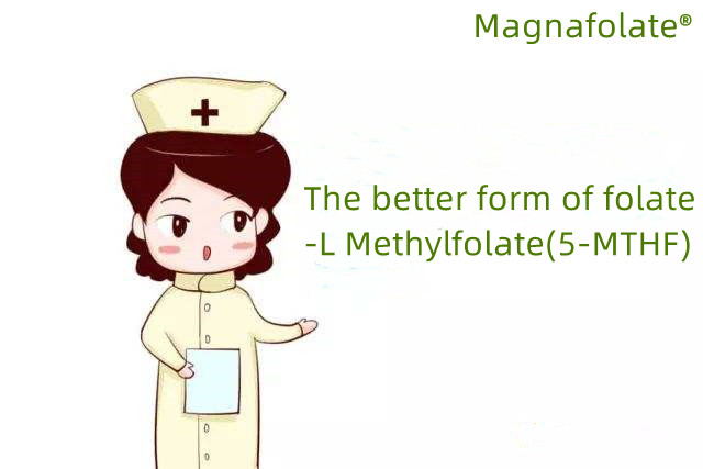 Folate et L-Methylfolate ad cerebrum Health