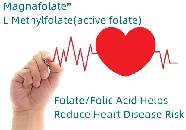Folate / Folic Acidum adiuvat Reducere Morbi Risk