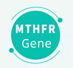 Quid significat si gene MTHFR habetis?