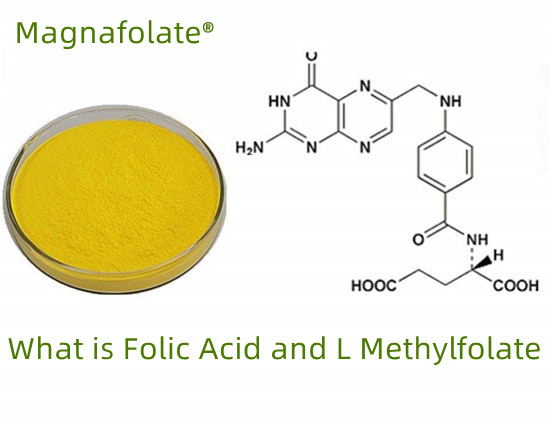 Quid folatium VS acidi folici VS L-methylfolati?