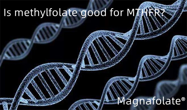 Estne methylfolatum bonum MTHFR?