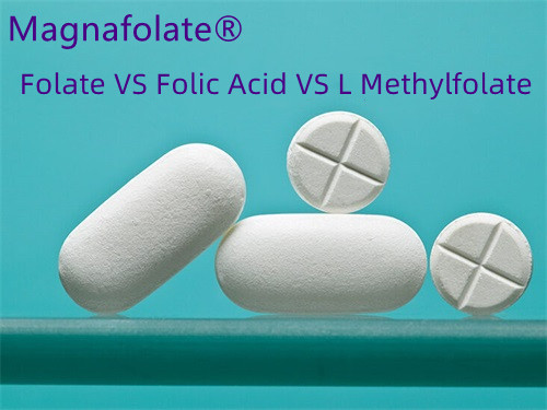 Folic Acidum vs. Folate: Quod est melius?