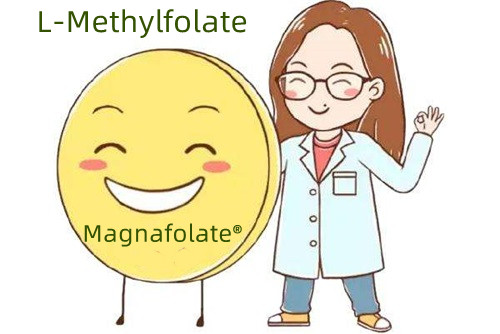 Cur methylfolatus melior est quam acidum folicum?
