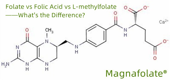 Estne methylfolata forma acidi folici?