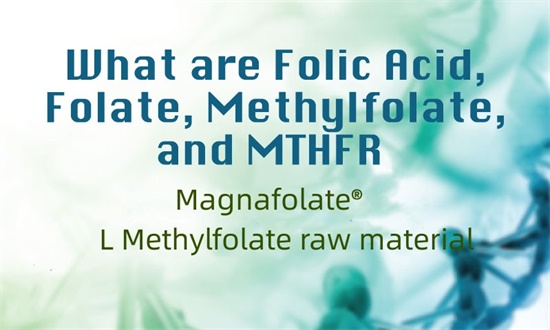 Quae sunt acidi folici, folati, methylfolati et MTHFR?