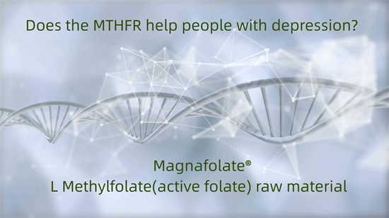 An MTHFR auxilium cum tristitia?