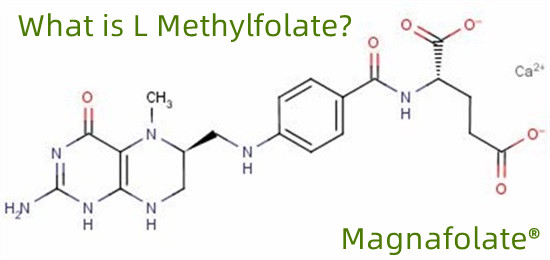 L-methylfolatus 151533-22-1 princeps puritatis 99% 1000g/bag