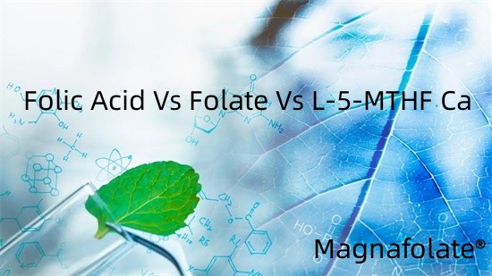 Folic Acidum Vs Folate Vs L-5-MTHF Ca