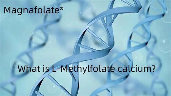 Quid est Calcium L-Methylfolatum?