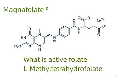 Quid est activum folatium et L-Methyltetrahydrofolatum?
