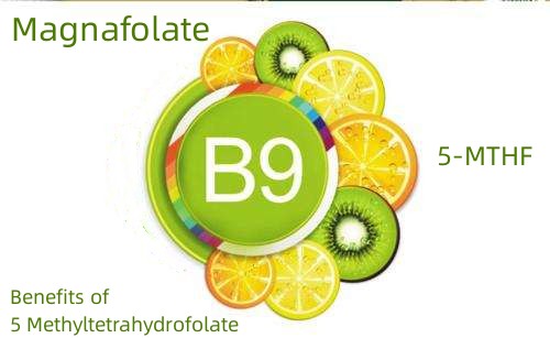 Beneficia 5 Methyltetrahydrofolate