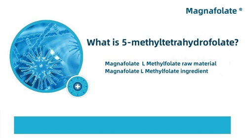 Quid est 5-methyltetrahydrofolatum?