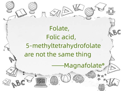 Folia, acidum folicum et 5-methyltetrahydrofolatum non idem sunt