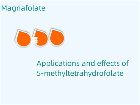 Applicationes et effectus 5-methyltetrahydrofolati