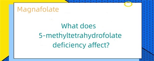 Quid defectus 5-methyltetrahydrofolati afficit?