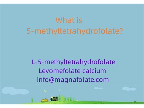 Quid est 5-methyltetrahydrofolatum?