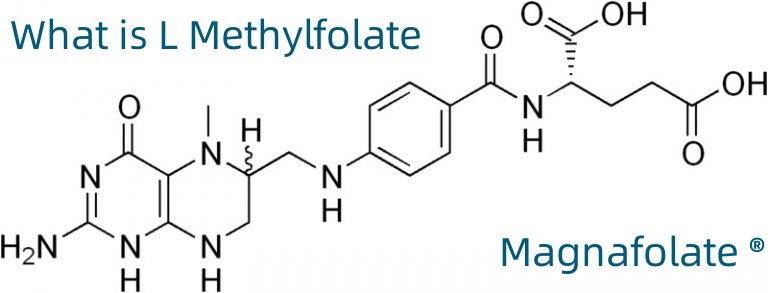L-5-Methyltetrahydrofolatum Calcium CAS No.:151533-22-1