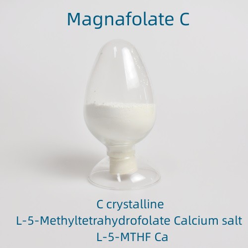 L-Methylfolatum ingrediens 2023.2.13