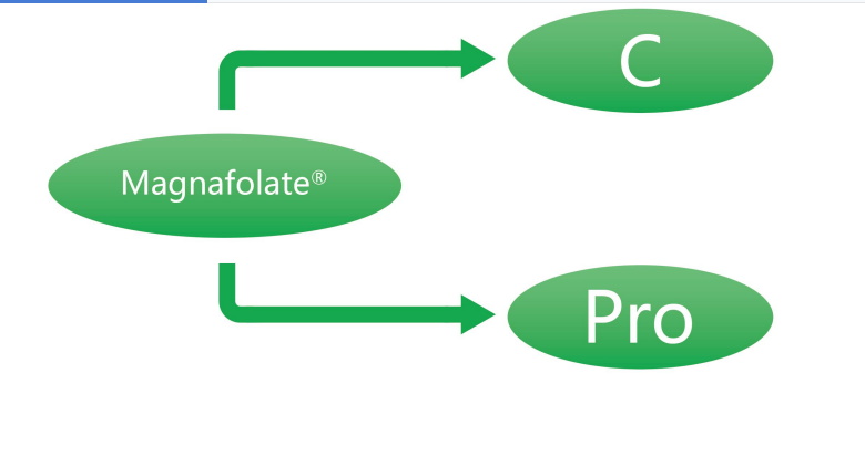 Magnafolate C et Pro-L-Methylfolate Calcium