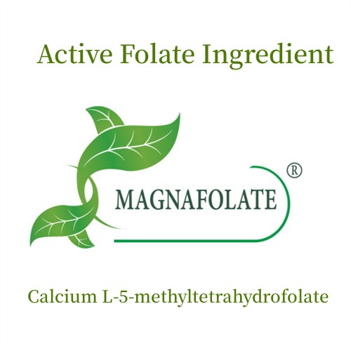 Active Folate Calcium L-5-methyltetrahydrofolatum