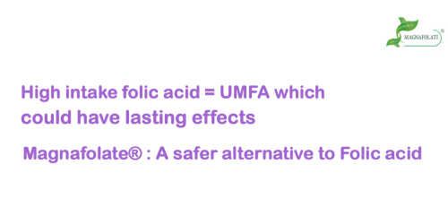 1st Education-UMFA ULTIMUM